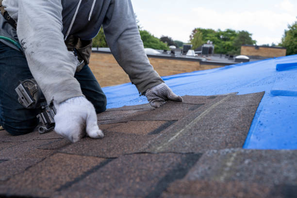 Roof Gutter Cleaning in Valley Cottage, NY